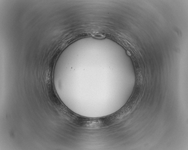 X0000115830274200912041654