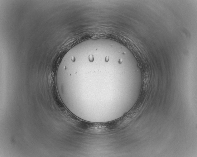 X0000115830278200912041654