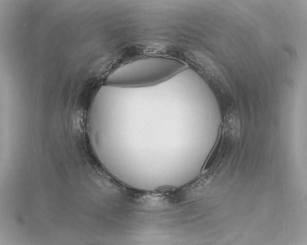 X0000115830280200912041654