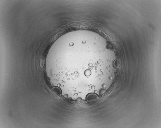 X0000115830281200912041654