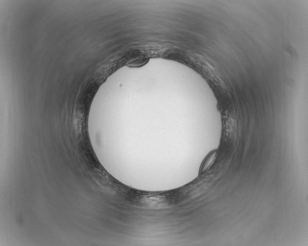 X0000115830283200912041654