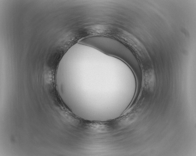 X0000115830284200912041654