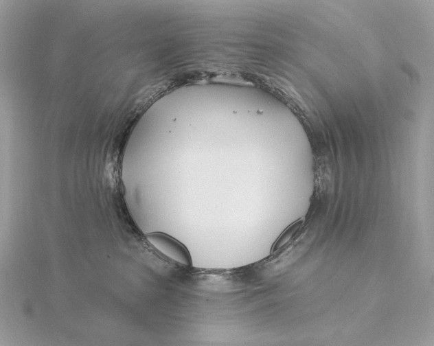 X0000115830285200912041654