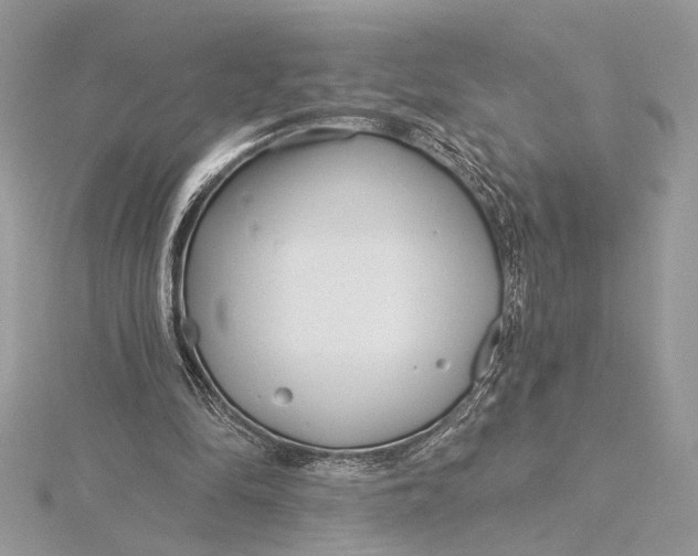 X0000115830294200912041653