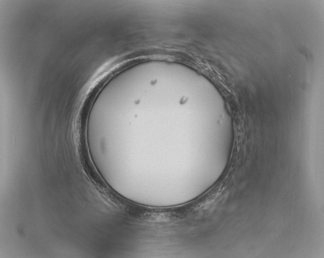 X0000115830295200912041653