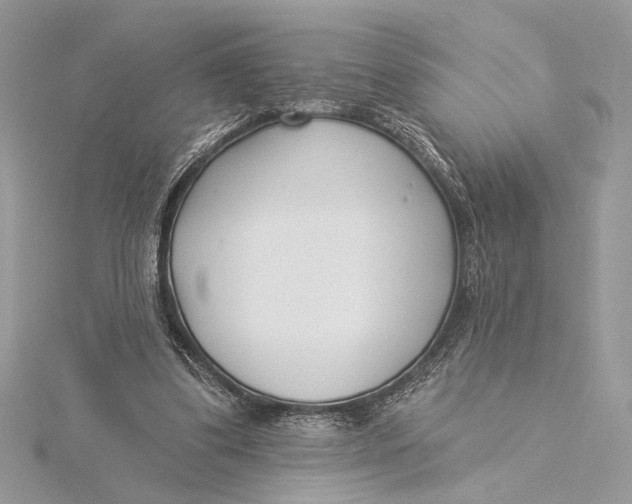 X0000115830299200912041653