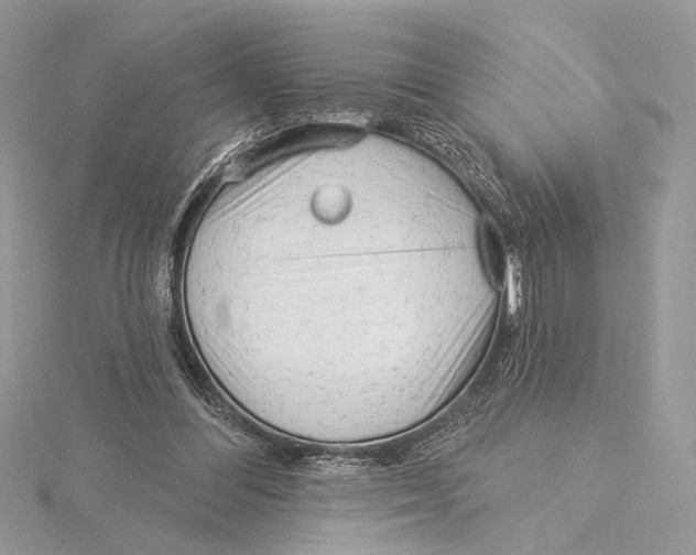 X0000115830300200912041653