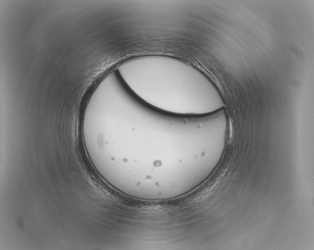 X0000115830301200912041653