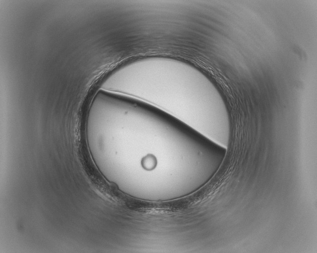 X0000115830303200912041653