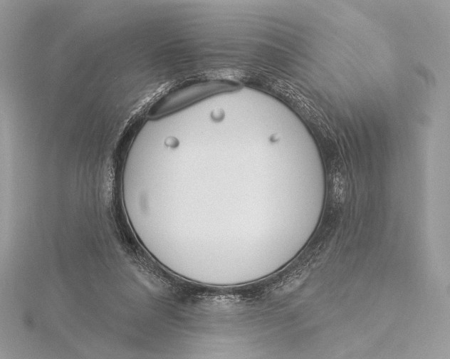 X0000115830304200912041653