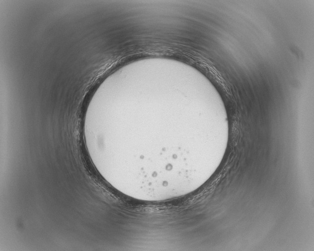 X0000115830305200912041653