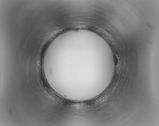 X0000115830306200912041653