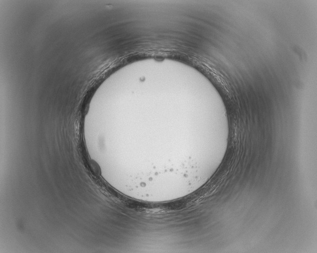 X0000115830309200912041653