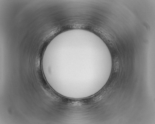 X0000115830310200912041653