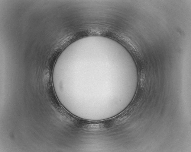 X0000115830314200912041653