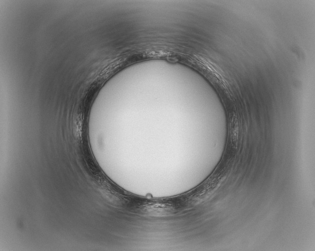 X0000115830315200912041653