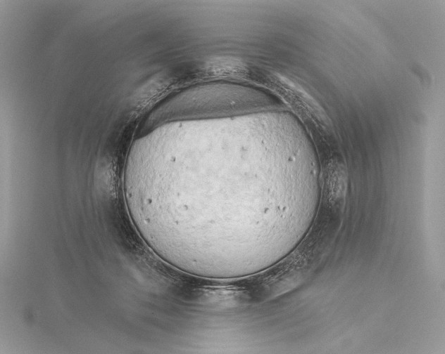 X0000115830316200912041653