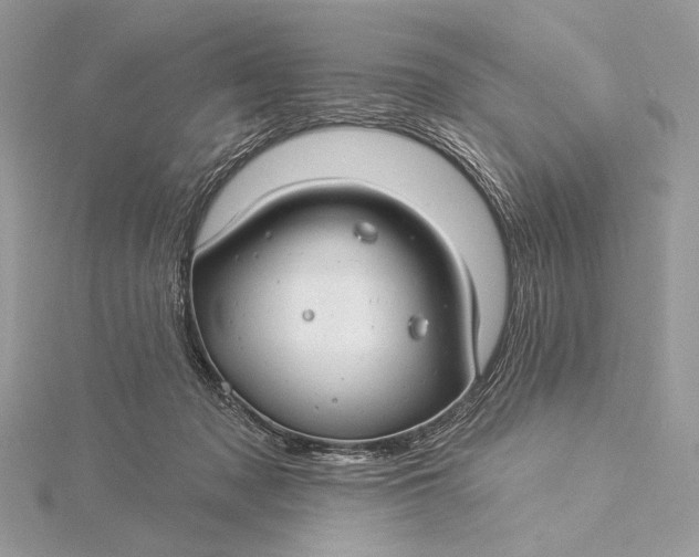 X0000115830317200912041653