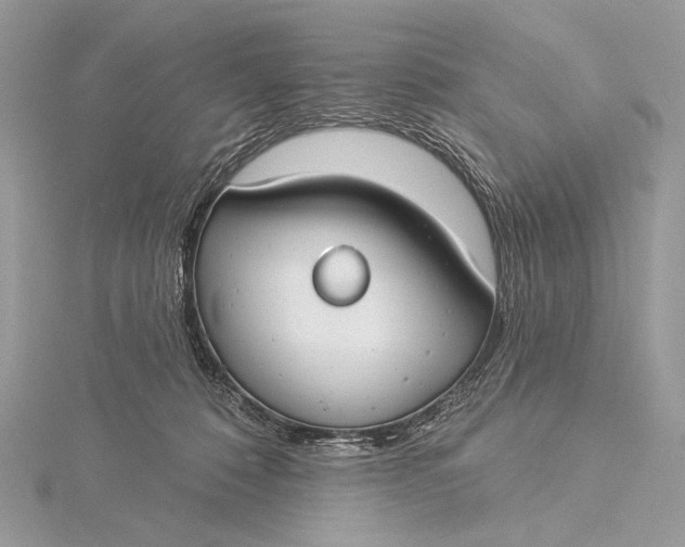 X0000115830320200912041653