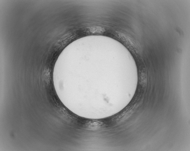 X0000115830321200912041653