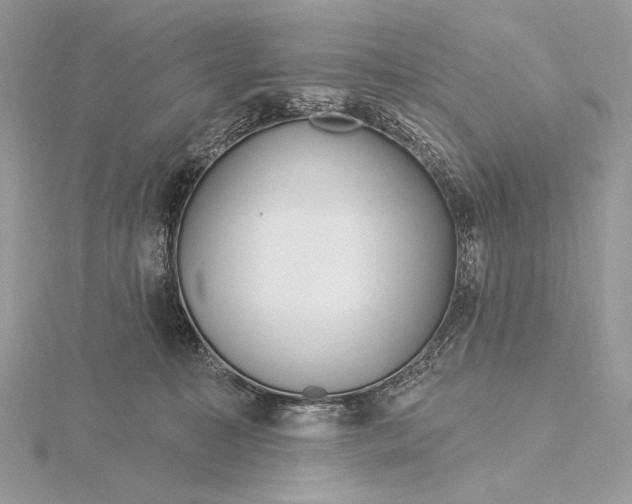 X0000115830323200912041653