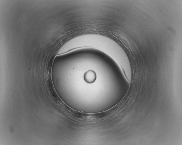 X0000115830324200912041653