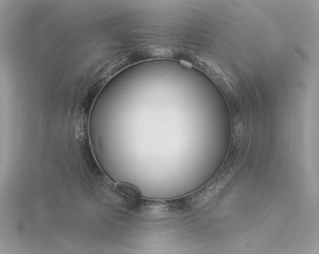 X0000115830325200912041653