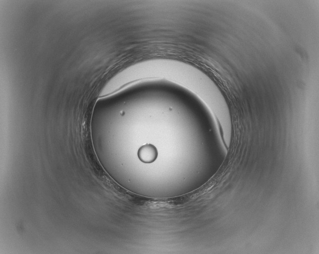 X0000115830327200912041653