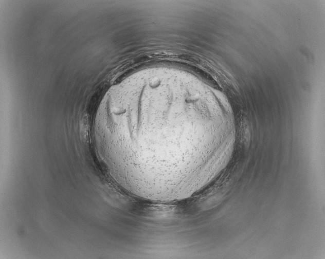 X0000115830328200912041653