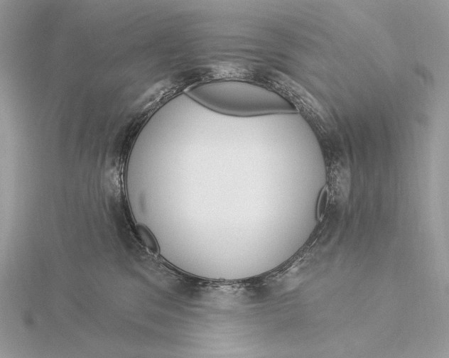 X0000115830329200912041653