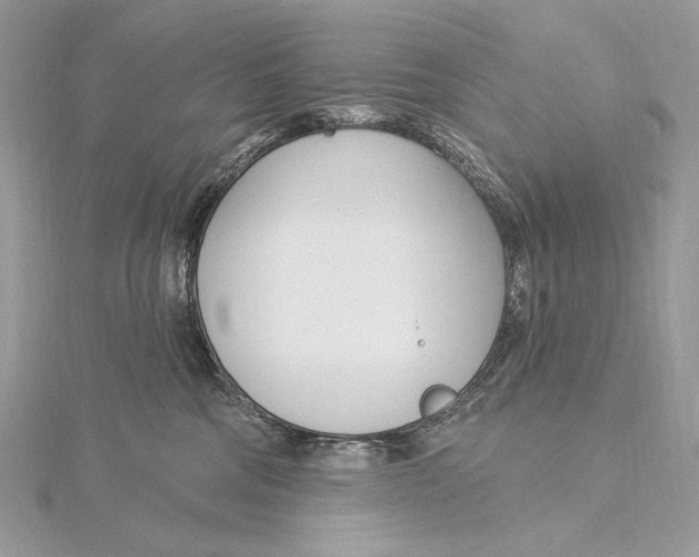 X0000115830330200912041653