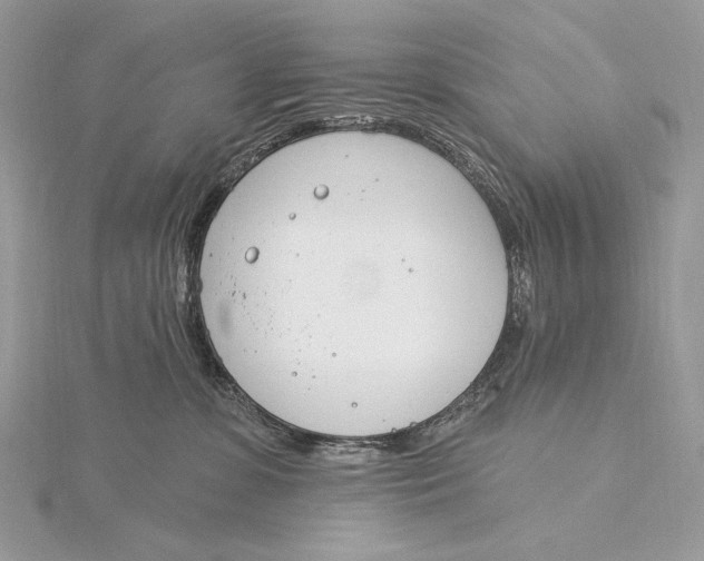 X0000115830331200912041653