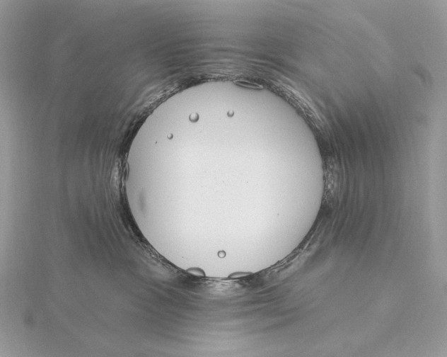 X0000115830333200912041653