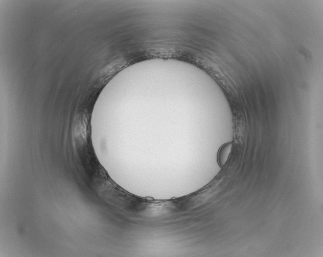 X0000115830334200912041653