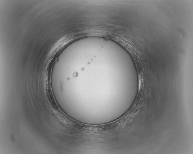 X0000115830339200912041652