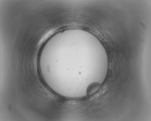 X0000115830341200912041652