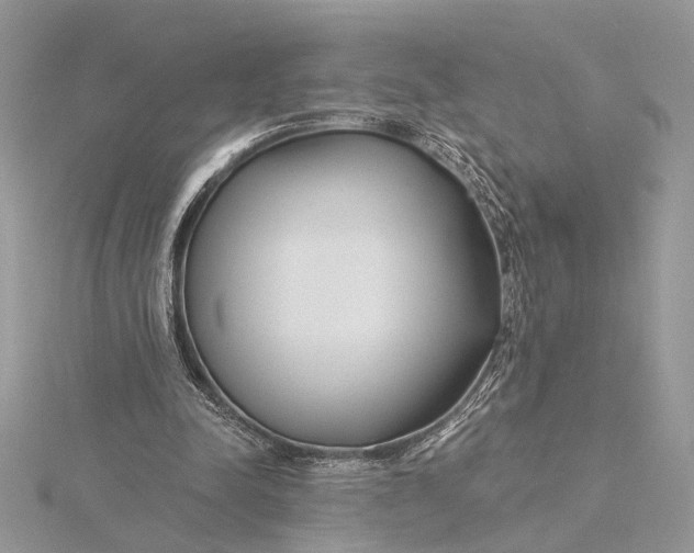 X0000115830342200912041652