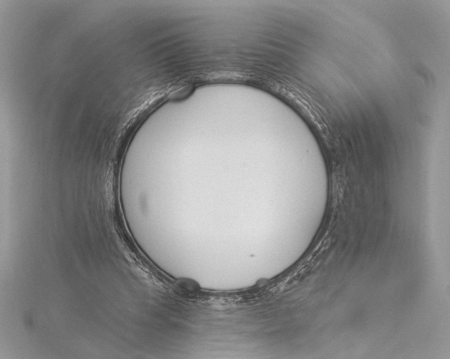 X0000115830345200912041652