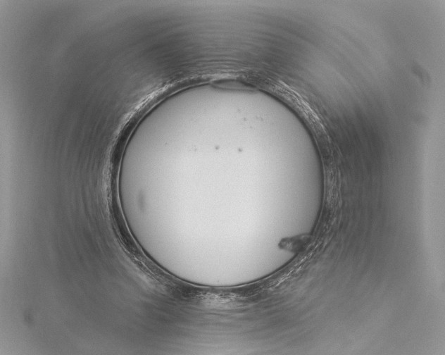 X0000115830346200912041652