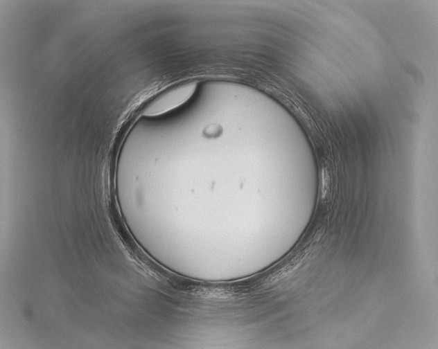 X0000115830349200912041652