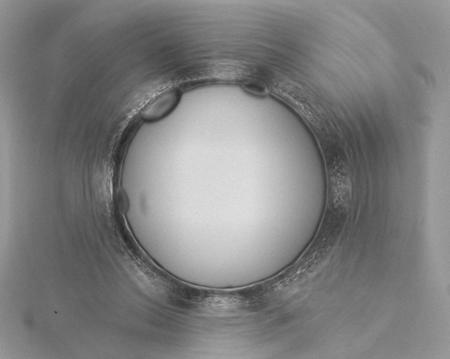 X0000115830350200912041652