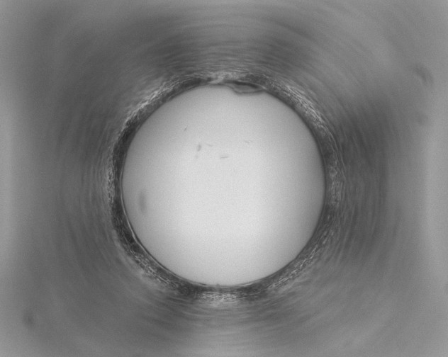 X0000115830354200912041652