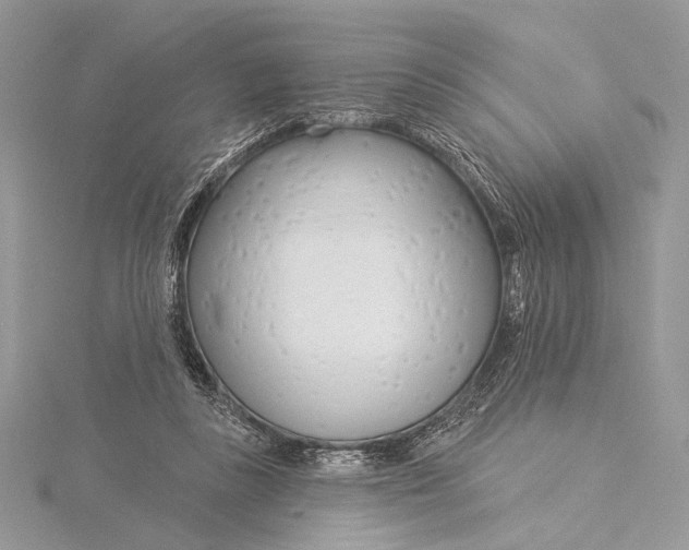 X0000115830355200912041653