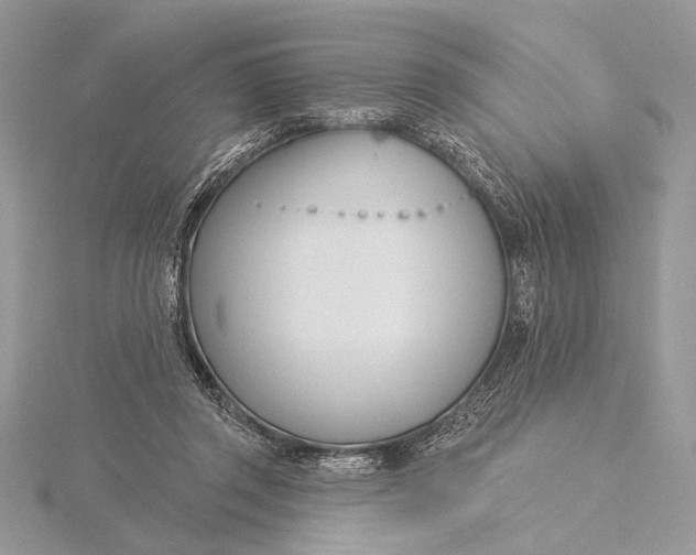 X0000115830357200912041653