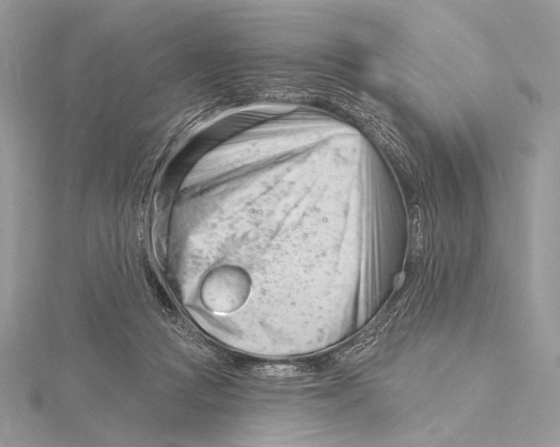 X0000115830361200912041653