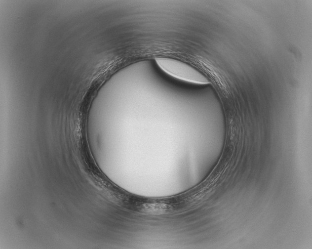 X0000115830362200912041653