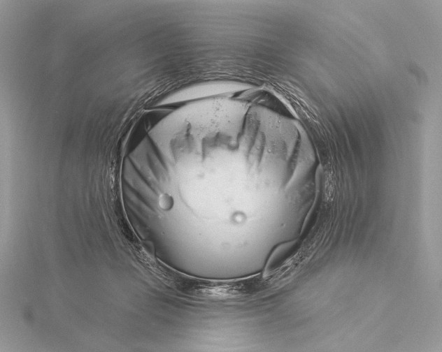 X0000115830365200912041653