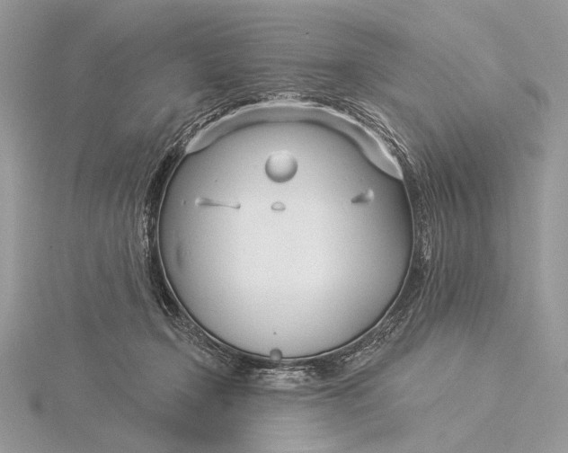 X0000115830366200912041653