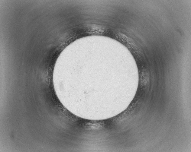 X0000115830370200912041653