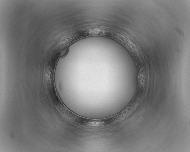 X0000115830375200912041653